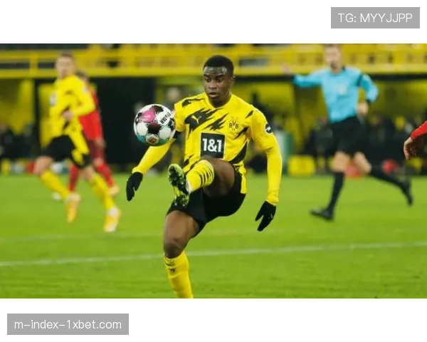 埃弗顿失球35粒防守稳固，净胜球+2体现务实战术风格